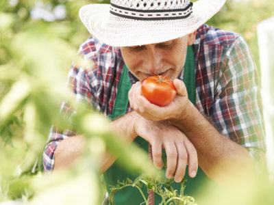 Agriculture et environnement