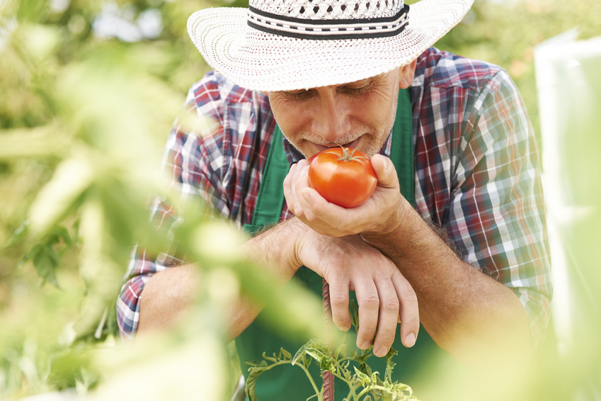 Agriculture et environnement